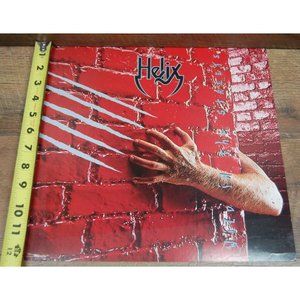 1987 Helix Wild in the Streets 12"x12" Promo Poster Photo Double Sided
